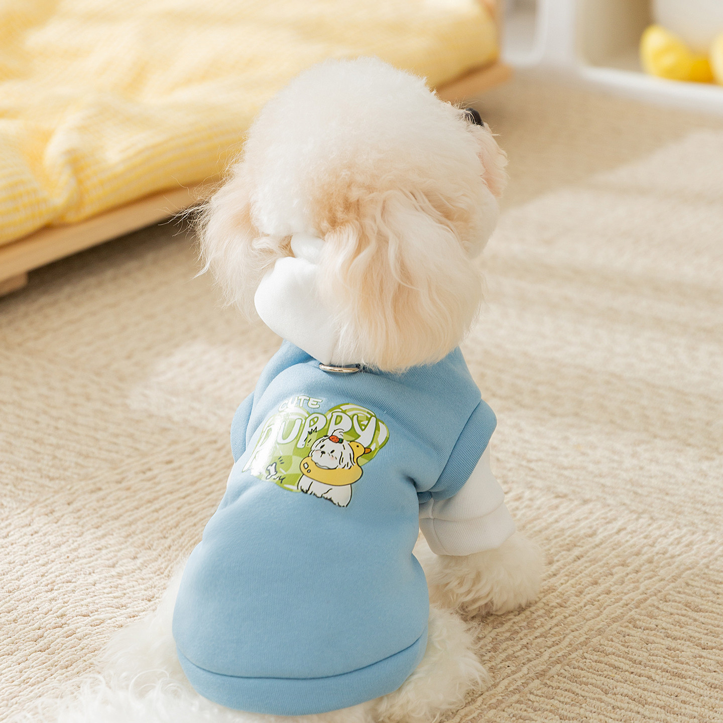 新款狗狗衣服潮酷风抽绳连帽卫衣泰迪比熊西高地宠物中小型犬卫衣,宠物/宠物食品及用品,狗宠物服装/雨衣,淘宝优惠券,粉丝福利购,淘宝优惠卷