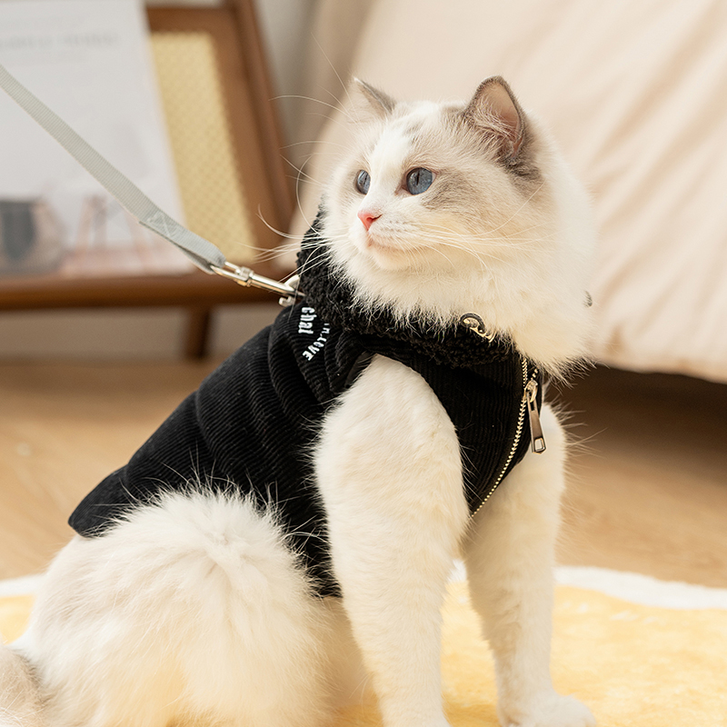 宠物猫咪衣服秋冬季保暖可牵引连帽防掉毛布偶英短蓝猫银渐层幼猫