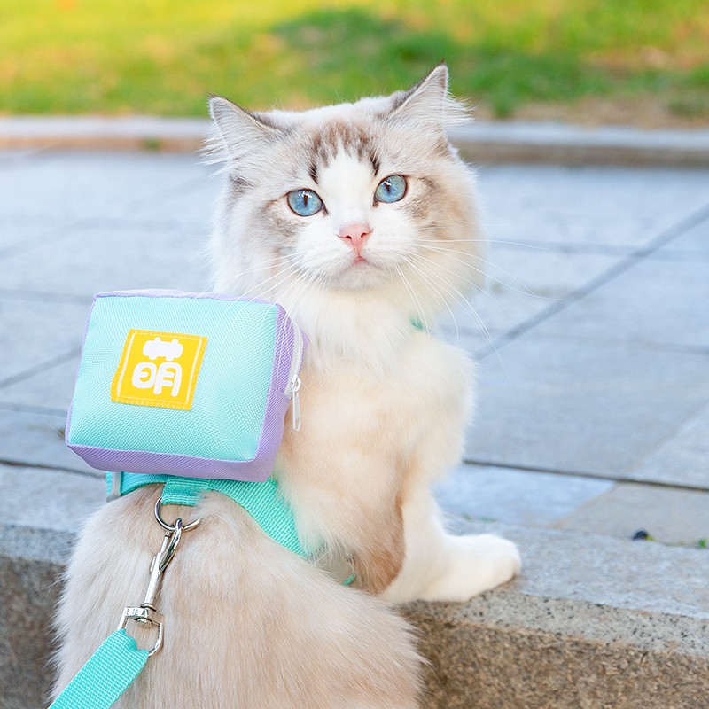 狗狗猫咪牵引绳狗自背包中小型犬柯基泰迪胸背带书包遛狗牵引绳