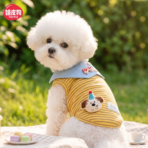 宠物小狗狗衣服夏季薄款背心泰迪比熊雪纳瑞约克夏小猫咪小型幼犬