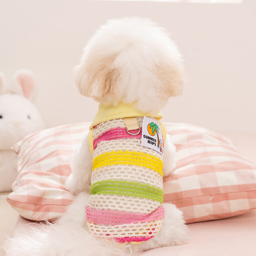 小狗狗衣服春天夏季镂空背心泰迪比熊雪纳瑞小型幼犬宠物春装薄款