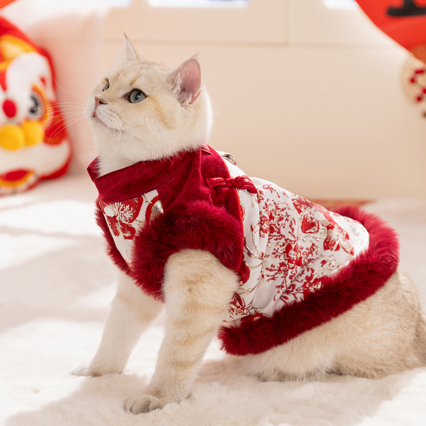 宠物服装秋冬花开富贵新年唐装马甲布偶德文猫无毛猫加厚猫咪衣服