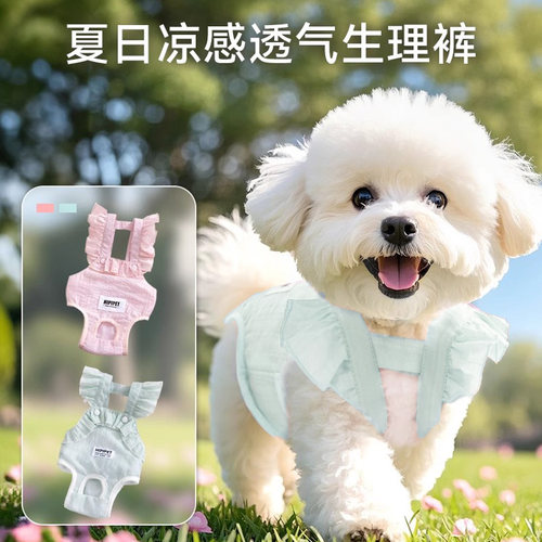 狗狗透气生理裤母狗专用防交配防骑姨妈裤可排泄月经发情防脱裤