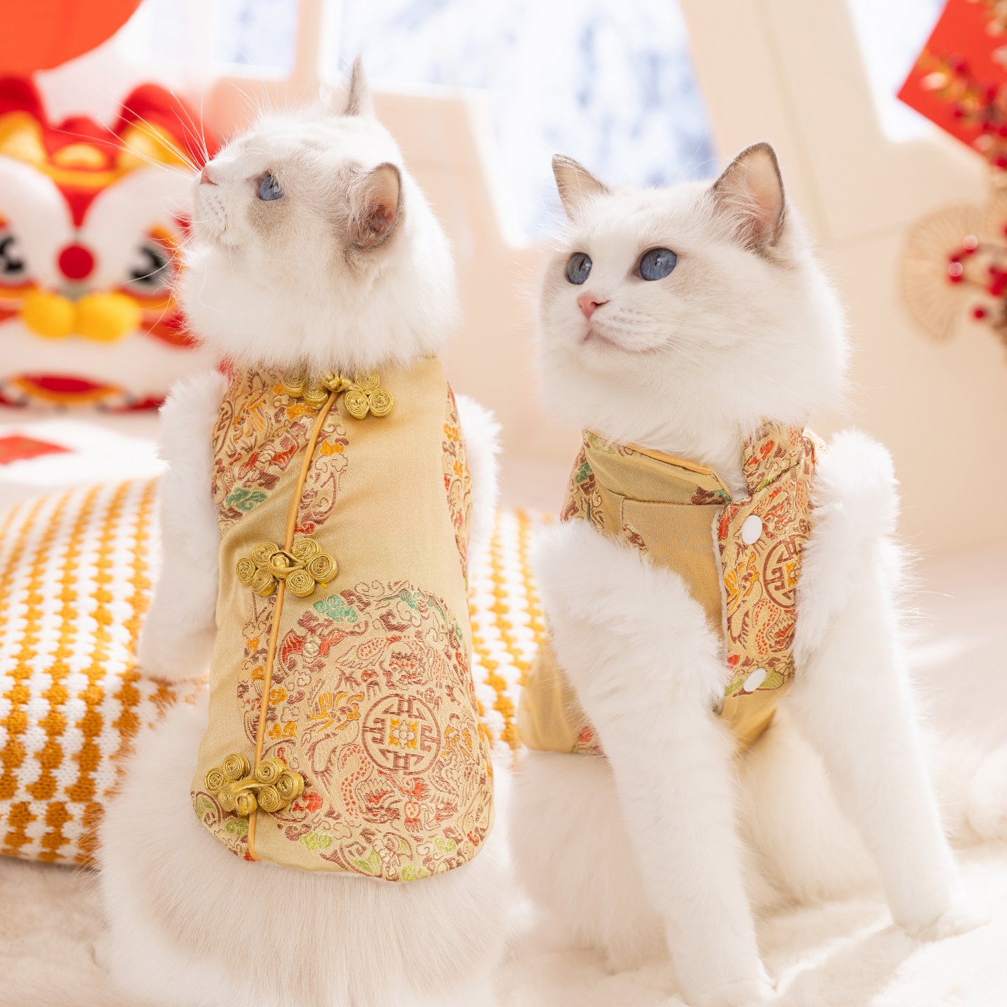 猫衣服五龙团纹新年唐装蓝猫布偶小猫咪秋冬季保暖防掉毛宠物棉衣