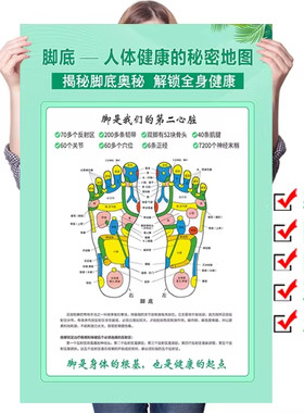 足底反射区穴位图足疗按摩养生馆宣传海报挂图墙贴