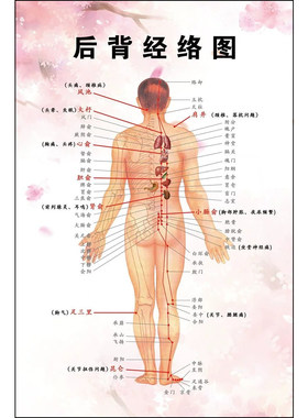 人体经络图后背经络穴位图五脏六腑反射图中医养生挂画海报