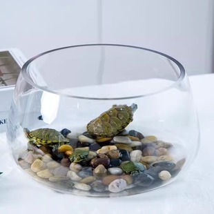 鱼缸玻璃圆形办公桌绿萝水培家用小鱼创意透明小型迷你桌面乌龟缸