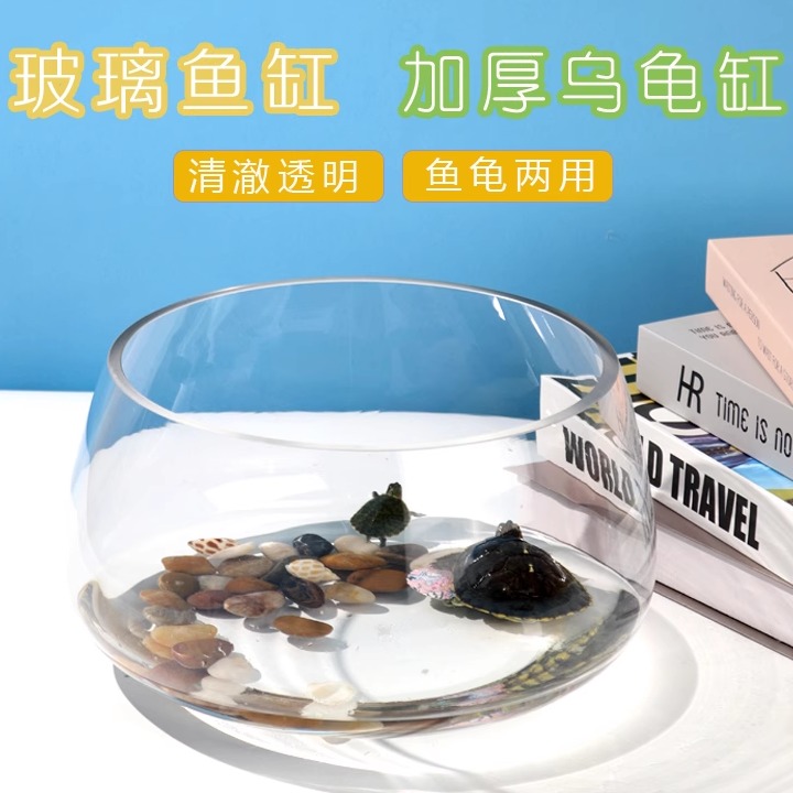 透明家居圆形碧澜金鱼缸小型鱼