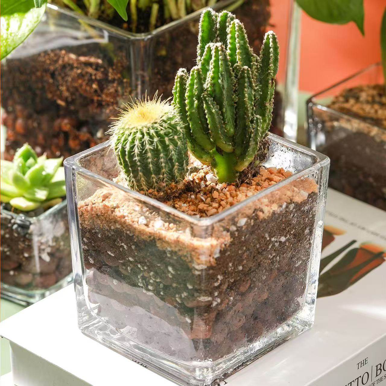 小鱼缸水族箱客厅小型桌面创意家用水晶玻璃生态迷你金鱼缸方形