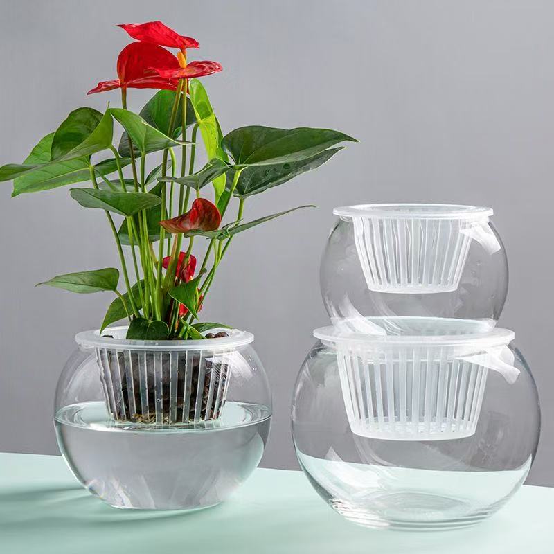 透明玻璃圆形微景观缸水培植物盆栽桌面创意生态瓶卧室装饰