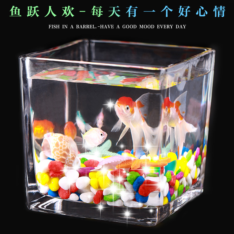 客厅家用水晶玻璃生态方形小鱼缸