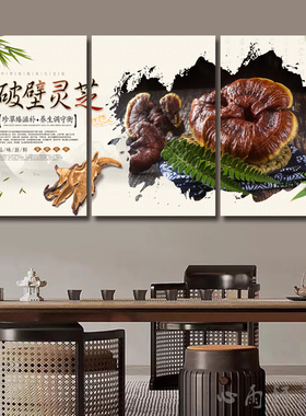 中药材海报挂图中草药养生中医馆宣传画灵芝当归冬虫夏草广告墙画