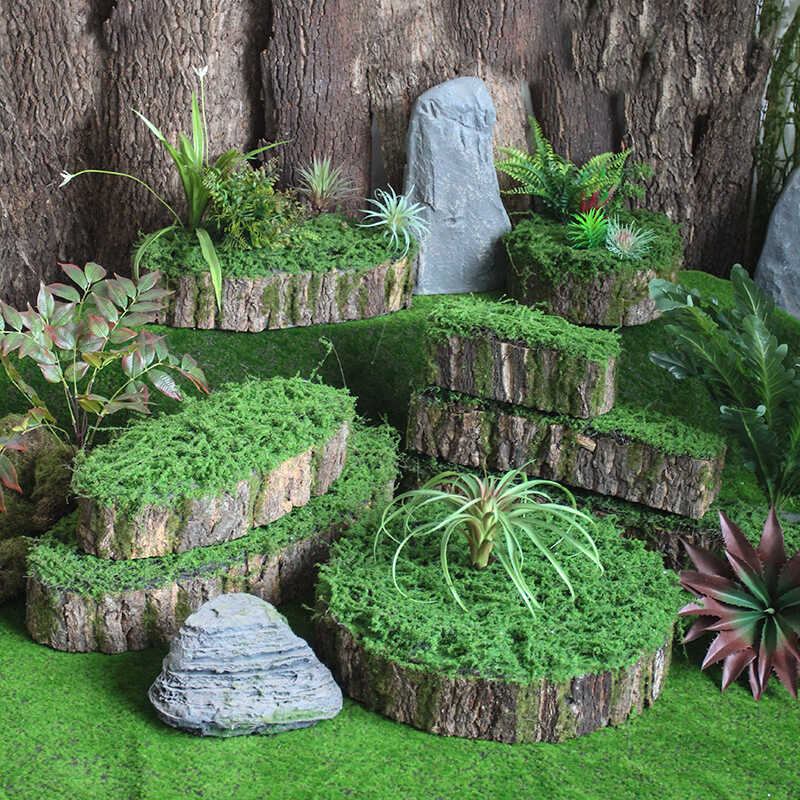 苔藓花盆可插花与多肉，装饰摆件