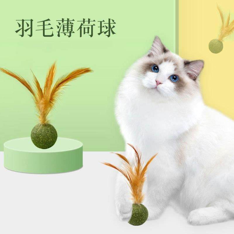 猫咪玩具猫薄荷球羽毛零食磨牙洁齿追逐解闷自嗨解压猫草小老鼠球,宠物/宠物食品及用品,逗猫棒,淘宝优惠券,粉丝福利购,淘宝优惠卷