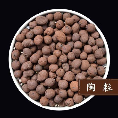 陶粒垫底养花专用多肉颗粒营养土通用透气铺面园艺种花盆花盆直销