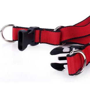 马犬幼犬专用牵引绳狗链小马犬大型犬背心式项圈外出遛狗可调节