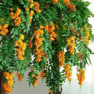 仿真灯笼吊兰绿植塑料假花藤条装饰花藤垂吊壁挂植物室内室外摆设