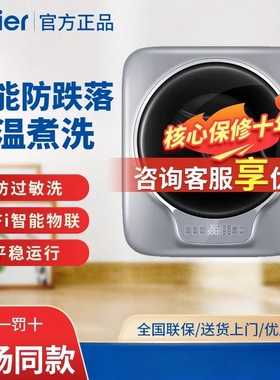 Haier/海尔 EGM30717PLUS1U1 全自动壁挂式小型滚筒3公斤洗衣机