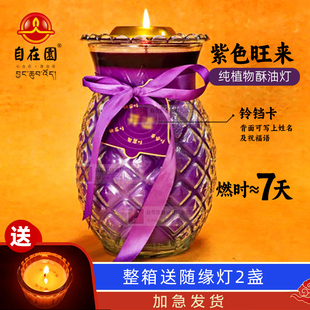 自在园酥油灯7天紫色旺来菠萝酥油灯凤梨蜡烛灯玻璃七天长明灯盏