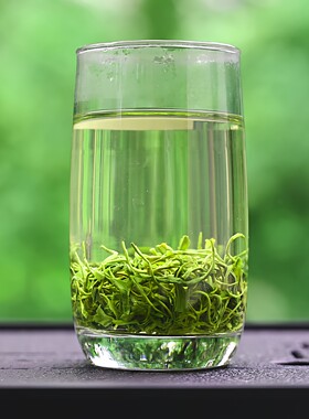 君子水峨眉马边高山明前特级绿茶