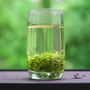 君子水峨眉马边高山明前特级绿茶