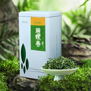 2026新茶碧螺春特级浓香明前绿茶