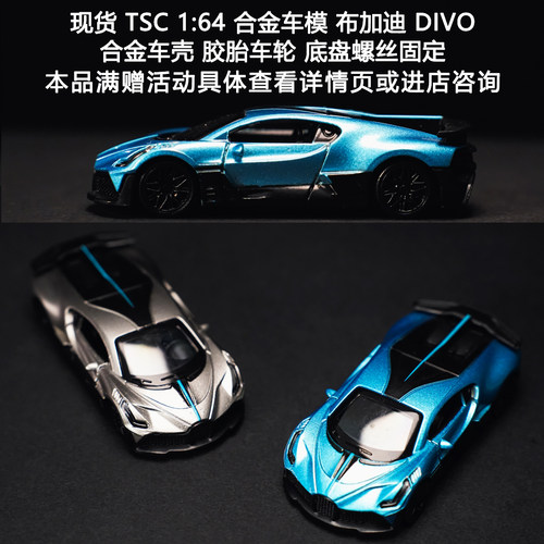 TSC164合金车模布加迪DIVO