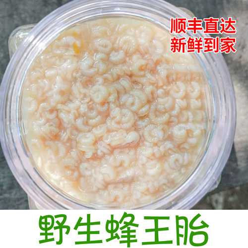 天然新鲜蜂王胎蜂幼虫蜂蛹蜂子蜂儿农家自产顺丰冷链750g装
