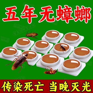 特效灭蟑螂神器 杀蟑螂药强效家用商用一窝端大小通杀强力厨房正品
