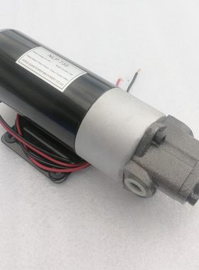 台湾NLP电动液压泵柴油12v