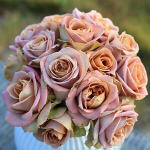 失忆/尼古拉斯的初恋 切花灌木勤花月季花苗复古色阳台庭院盆栽