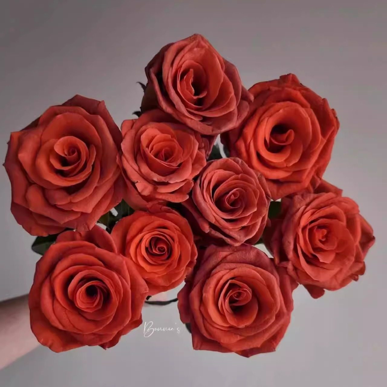 杏仁酒/阿玛雷托 复古色月季灌木玫瑰花苗扦插月季蔷薇花卉盆栽,鲜花速递/花卉仿真/绿植园艺,月季/蔷薇/玫瑰,淘宝优惠券,粉丝福利购,淘宝优惠卷