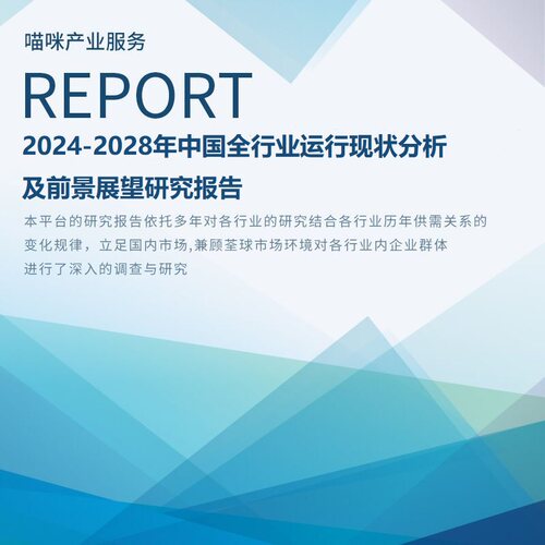 2025版行业报告 调研报告 代写 代笔 专业定制 权威数据 非代下载