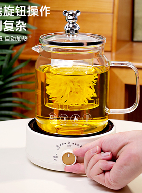 养生壶小型办公室多功能炖煮杯围炉煮茶壶2025新款玻璃烧水花茶壶