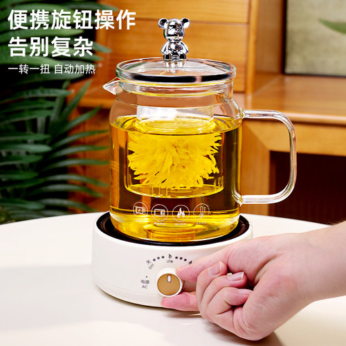玻璃养生花茶壶小型一人围炉煮茶