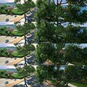 锻炼 清晨 晨跑 晨练 三维镜头动画视频素材 跑道