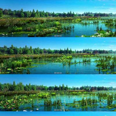 绿色 生态 湿地 公园 白鹭 飞鸟 唯美 自然 保护区3D动画视频素材