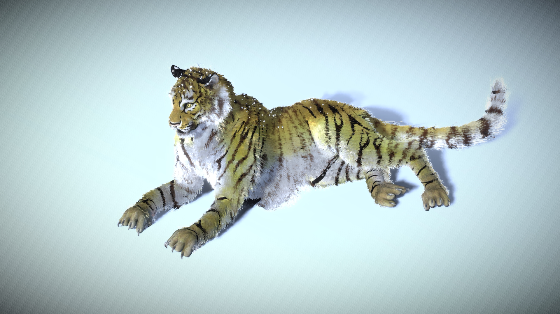 东北虎模型 野生动物 3D模型 三维 FBX模型 PBR写实模型 Blender