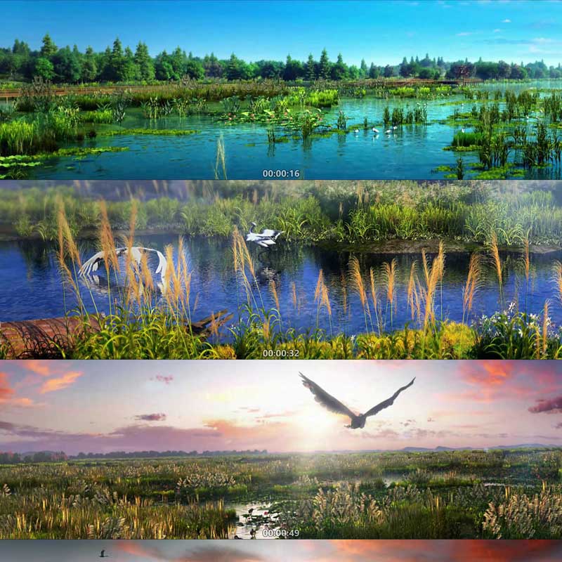 绿色生态湿地公园城市风光 3D动画 三维建筑漫游 宣传片视频3分钟