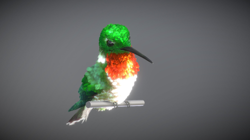 蜂鸟模型 野生动物 3D模型 三维 FBX模型 PBR写实模型 Blender