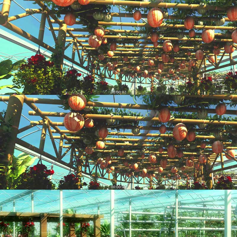 生态有机绿色食品生态农业三维动画3D动画三维城市宣传片视频素材