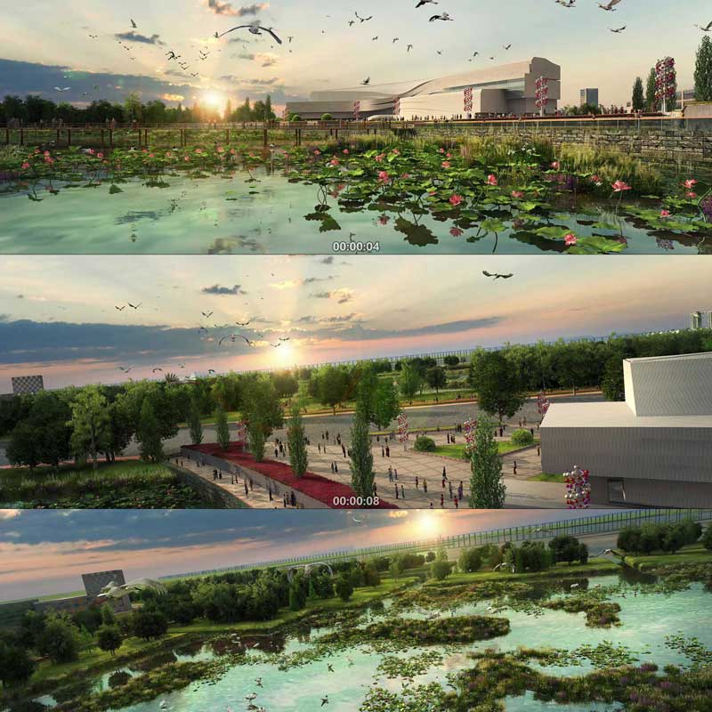 绿色生态 湿地公园 白鹭丹顶鹤 晚霞黄昏 三维动画宣传片视频素材