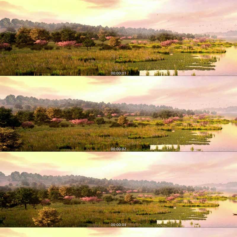 澡泽湿地公园 唯美自然风光 3D动画 三维漫游 宣传片 视频素材镜