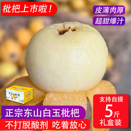 【现货速发】苏州东山白玉枇杷