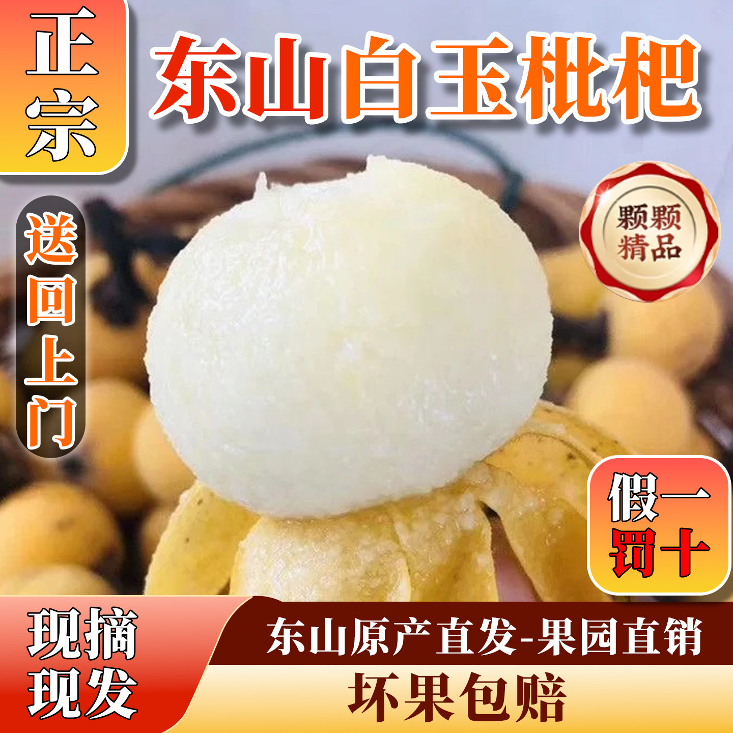 大果正宗苏州东山白玉枇杷鲜果应季新鲜水果特大果炮头果王琵琶