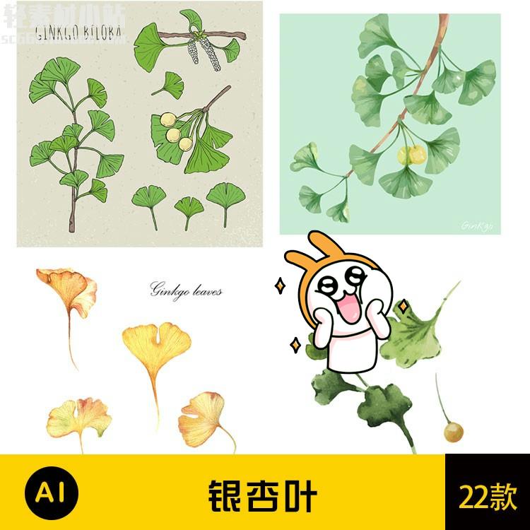 手绘水彩绿黄色银杏树叶装饰线稿插画jpg图片ai矢量设计素材 q39