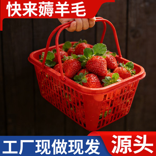 红色手提塑料水果采摘篮