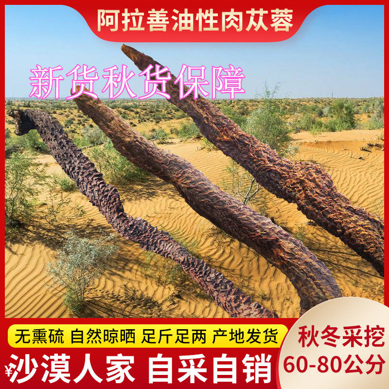 阿拉善油性肉苁蓉70公分整根男性滋补泡酒中药材代切片正品