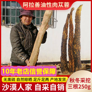 内蒙古阿拉善肉苁蓉油性整根配淫羊藿非锁阳整根泡酒料