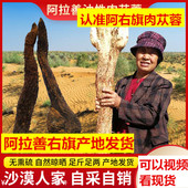 肉苁蓉阿拉善油性整根500g男性滋补泡酒汤料农家特产非特级正品